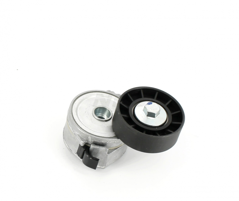 Galet-tendeur de courroie d'accessoires NPS S110I17