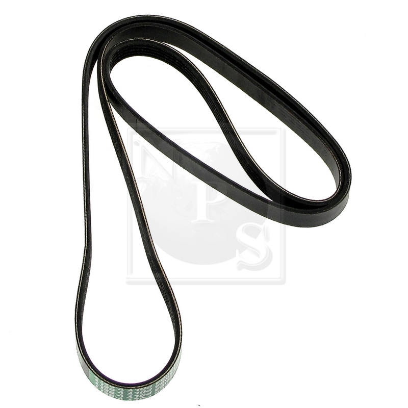 Courroie trapézoïdale à nervures (d'accessoires) NPS S111I24