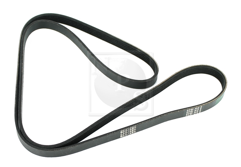 Courroie trapézoïdale à nervures (d'accessoires) NPS S111I37