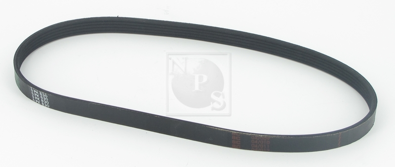 Courroie trapézoïdale à nervures (d'accessoires) NPS T111A10