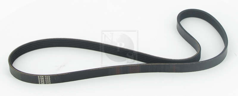 Courroie trapézoïdale à nervures (d'accessoires) NPS T111A29