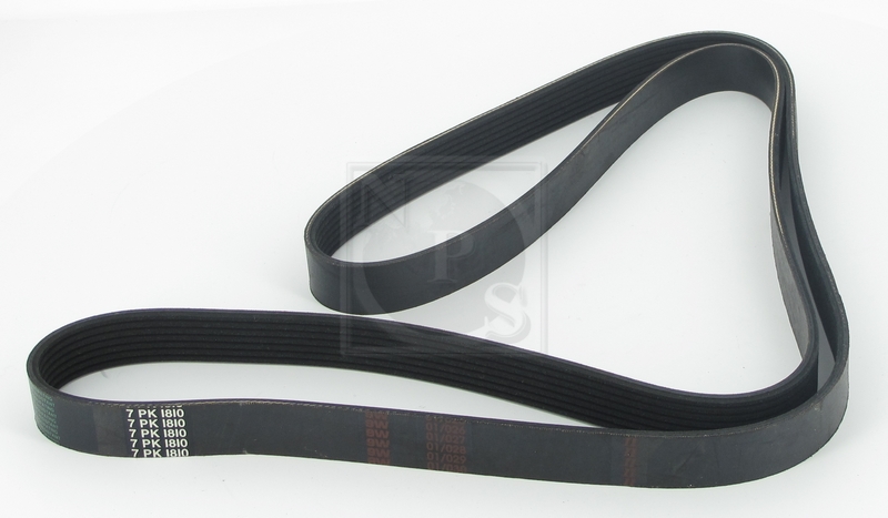 Courroie trapézoïdale à nervures (d'accessoires) NPS T111A52