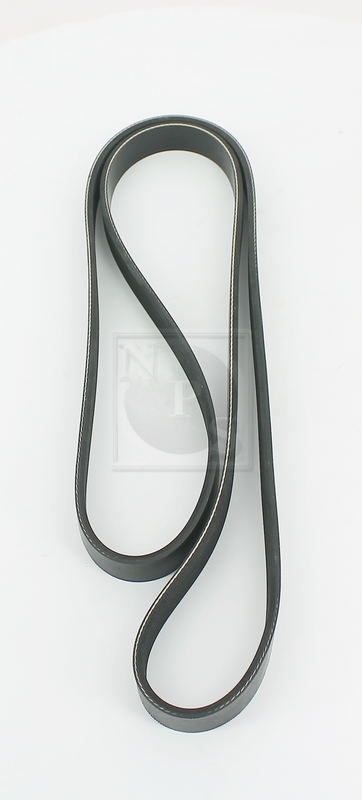 Courroie trapézoïdale à nervures (d'accessoires) NPS T111A56