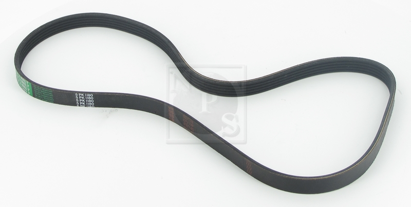 Courroie trapézoïdale à nervures (d'accessoires) NPS T111A66