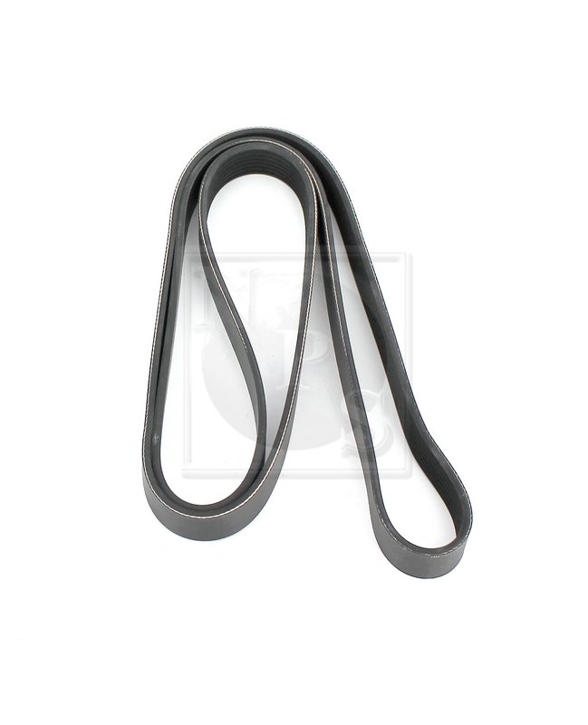 Courroie trapézoïdale à nervures (d'accessoires) NPS T111A67