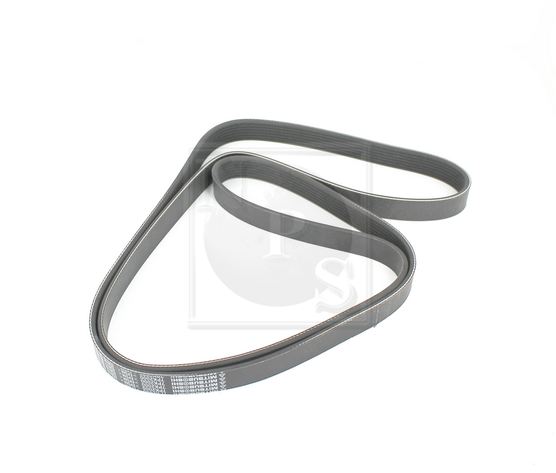 Courroie trapézoïdale à nervures (d'accessoires) NPS T111A69