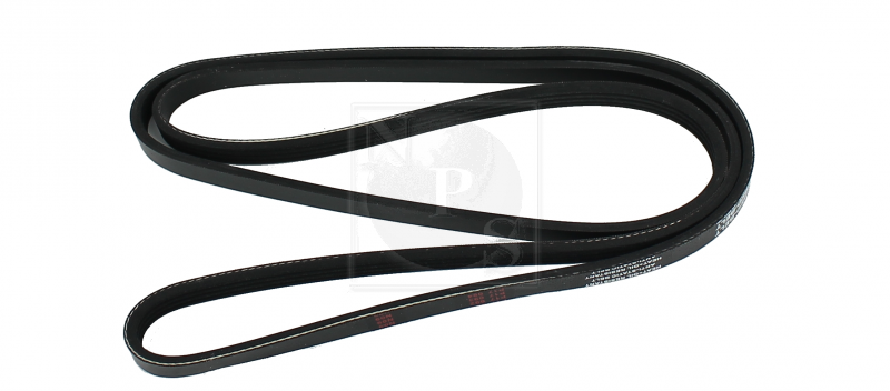 Courroie trapézoïdale à nervures (d'accessoires) NPS T111A81