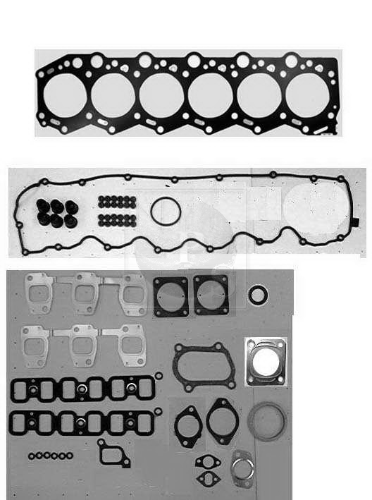 Pochette de joint moteur NPS T124A50